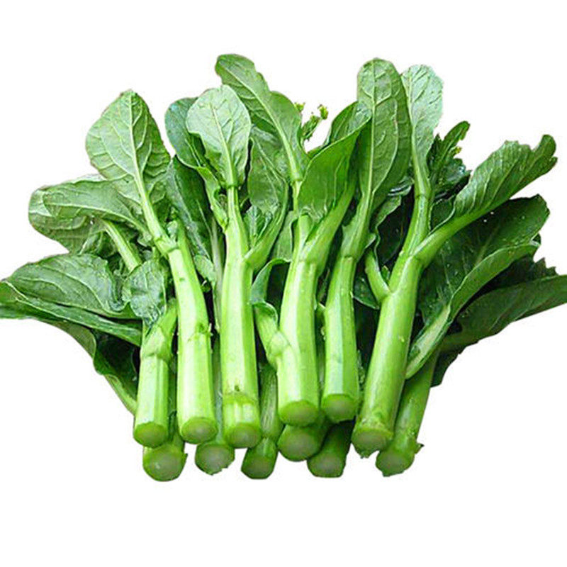 甜菜心种子广东四九菜苔薹种籽矮脚青菜尖叶油绿油青四季蔬菜早熟,淘宝优惠券,粉丝福利购,淘宝优惠卷