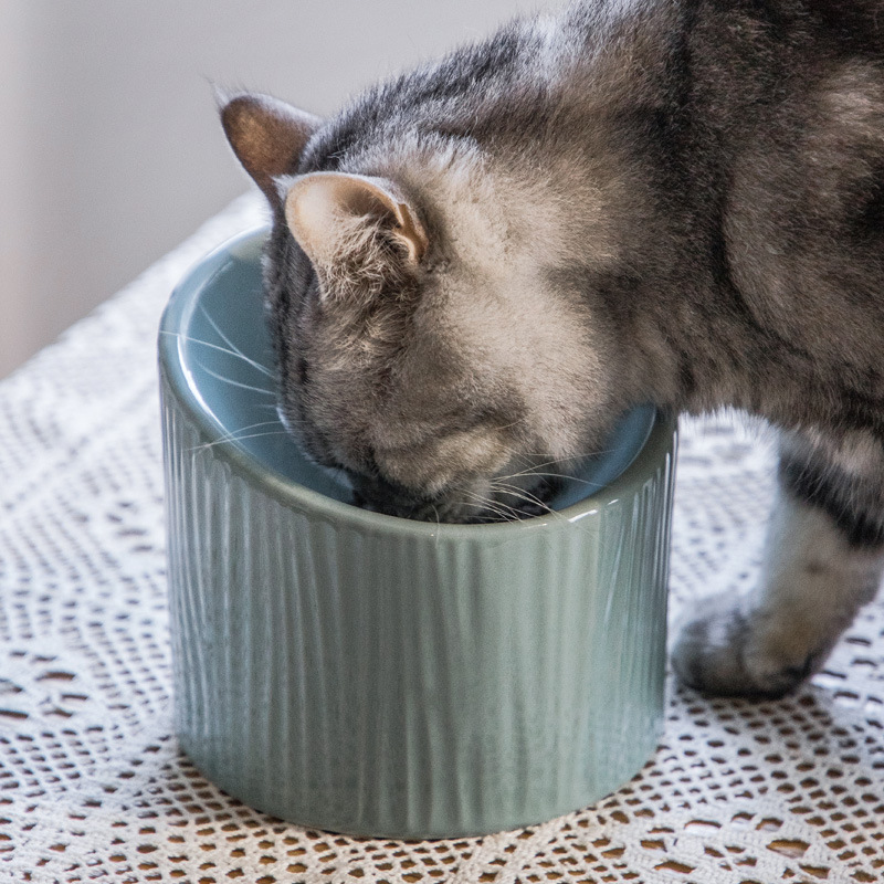 陶瓷猫碗保护颈椎斜口高脚饭碗猫粮碗猫咪食盆宠物用喝水碗防打翻-图1