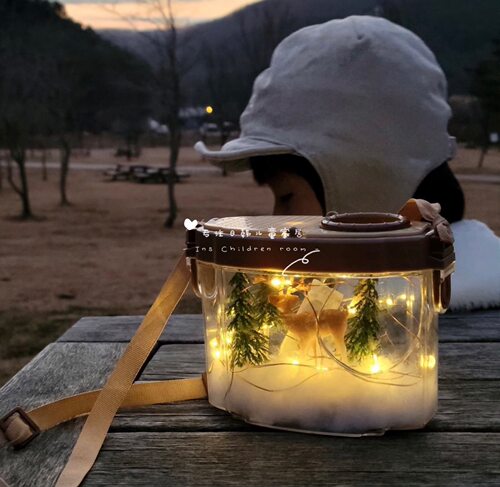 出口韩国儿童咖色系捕虫蝴蝶网昆虫蜗牛贝壳观察饲养盒带放大镜 - 图2