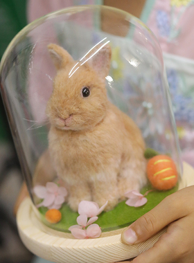 御姐羊毛毡定制仿真兔子