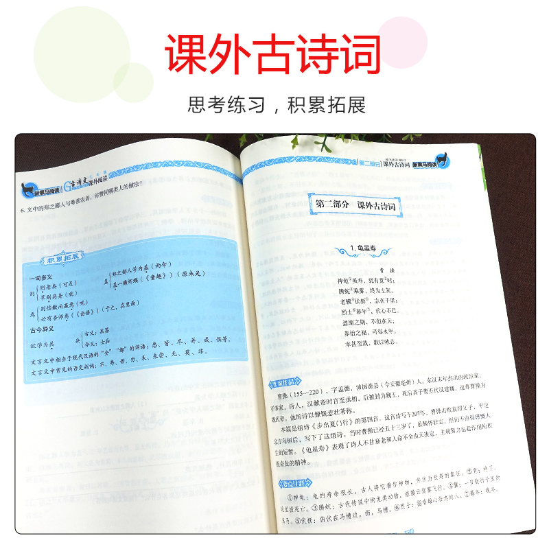 新版新黑马阅读古诗文课外阅读七八九年级第一次修订版全国通用初一二三789年级中考古诗词原文注释思维练习巩固基础 发散思维 - 图2