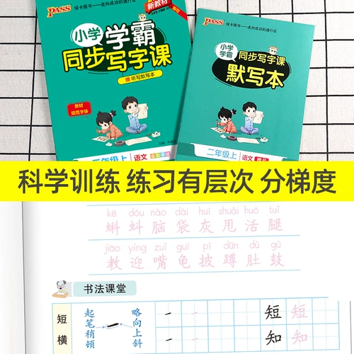 Каллиграфия для школьников для письма для первого класса, тетрадь, кисть, именная наклейка, новая версия, английский, тренируйтесь каждый день