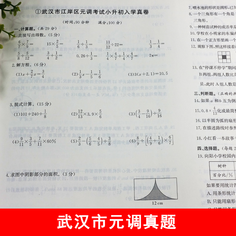 考必胜小升初名校真题汇编语文数学湖北名校试卷湖北重点学校招生分班真题集五六年级冲刺名校小升初真题卷武汉市元调真题汇编 - 图2