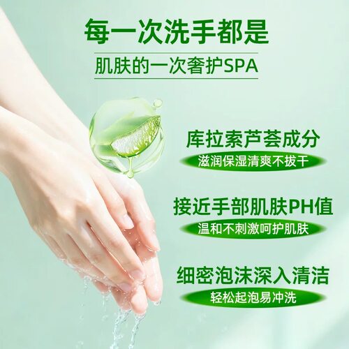 蓝月亮抑菌洗手液抑菌芦荟滋润500g瓶补充装家用官方旗舰店正品 - 图2