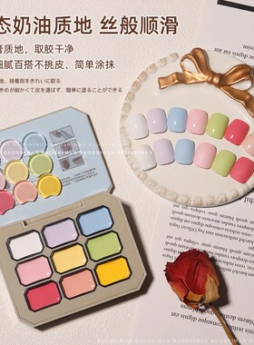 美甲胶马卡龙新款九色固态胶