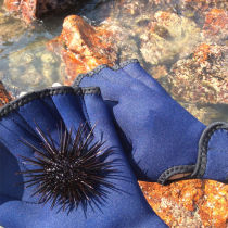 Yu Jayu Sports Hands Webbed Duck Webbing Palm Swimming Paddling Accessories Assistive Equipment Tool Duck Palm webbed webbing