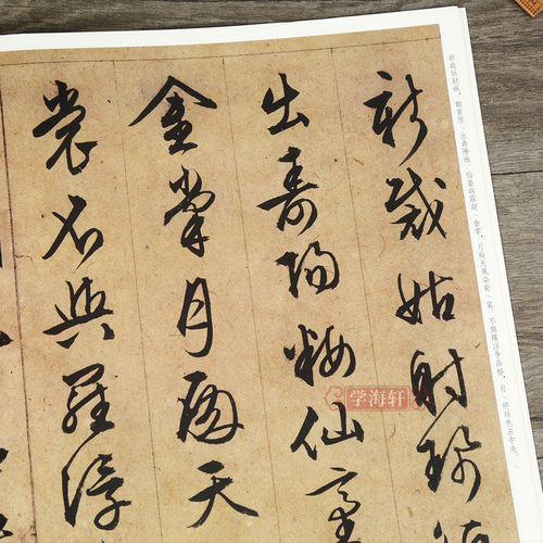 文徵明杂花诗卷 中华碑帖彩色放大本 毛笔行书原色放大字临摹赏析8开穿绳装订书法初学成人临帖 附繁体注释中华书局 - 图2