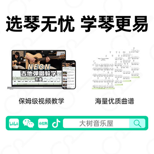 大树音乐屋 Trumon楚门海豚物语TFL夏至全单民谣吉他41寸加振电箱 - 图2