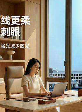 西晒窗户防晒隔热膜玻璃贴纸遮阳