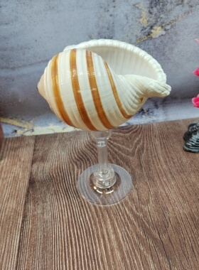 海螺贝壳摆件  海螺酒杯支架 桌面创意装饰 容器酒杯收纳香薰