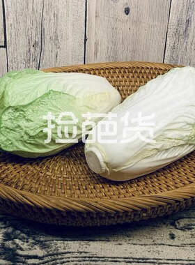 高仿真上海青菜大白菜装饰摆件逼真蔬菜模型家居餐厅橱窗摄影道具