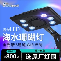 Mai Guang Voyage Light Blue Version Sea Cylinder Lamp Coral Lamp LED Lights Full Spectrum MJ-L165 Sea Water Lamp WIFI Control