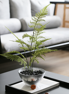 仿真绿植陶瓷马托盘组合套装