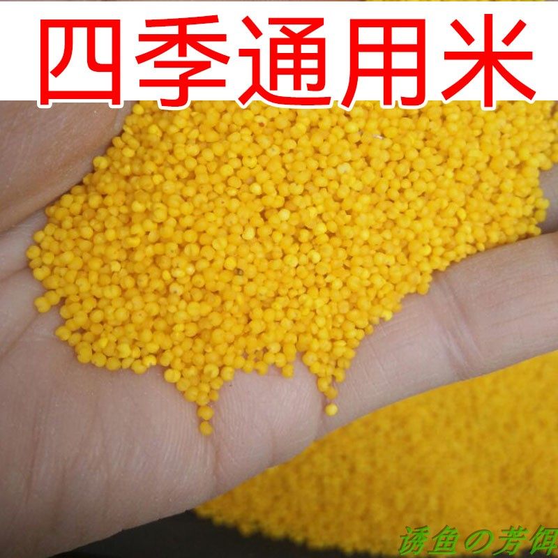 打窝诱米钓鱼打窝米鲫鱼鲤鱼野钓散装蛋奶酒米底窝料干米麝香小米,淘宝优惠券,粉丝福利购,淘宝优惠卷