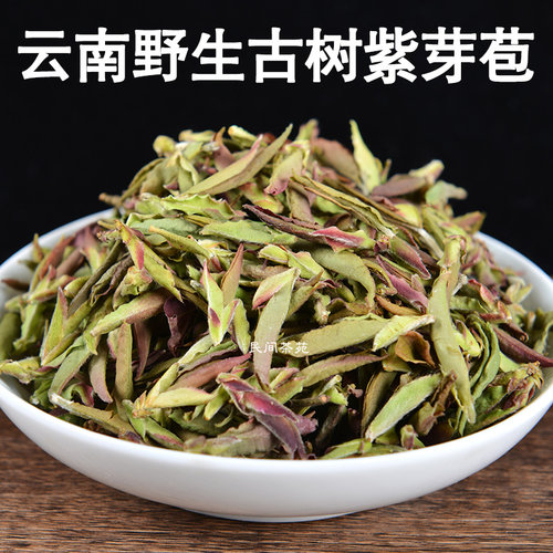 紫芽茶苞2024年头春野生古树晒青绿茶临沧邦东大雪山普洱生茶白茶 - 图0