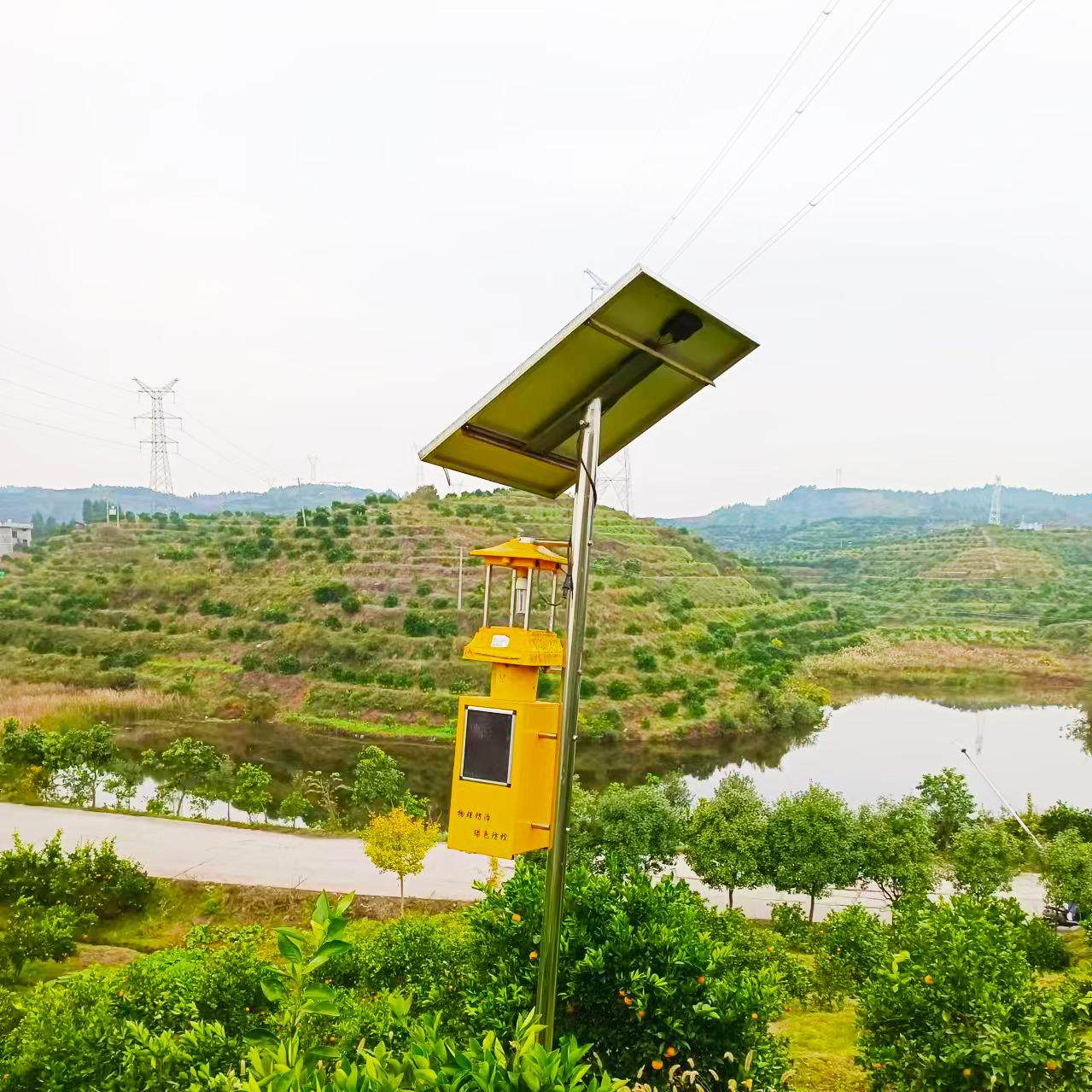 香甜爆汁正宗麻阳冰糖橙直播秒杀新鲜水果橙子整箱福利秒杀,淘宝优惠券,粉丝福利购,淘宝优惠卷