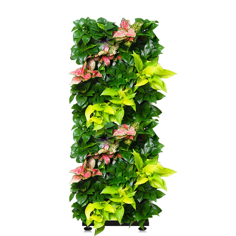 移动植物墙屏风隔断多层花架天台阳台种菜神器立体菜园草莓种植架-图3