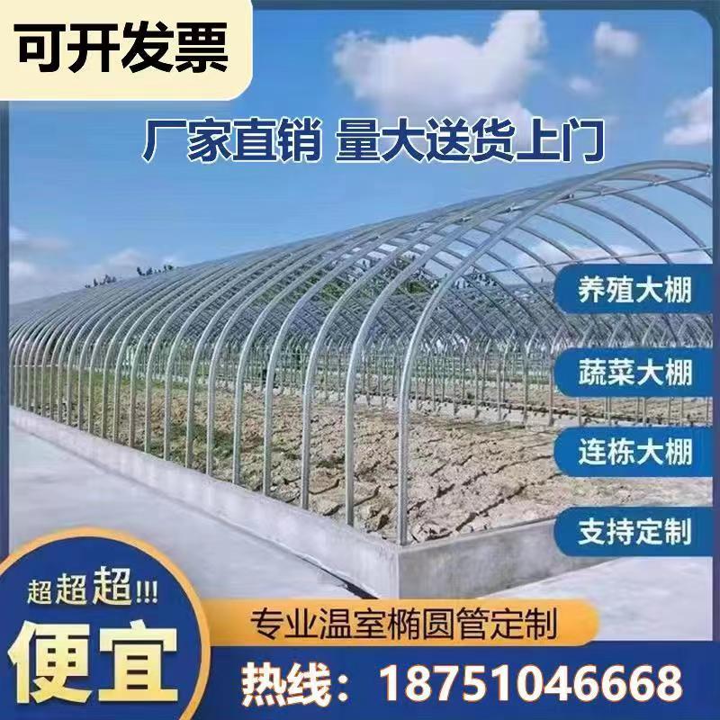 大棚钢管骨架蔬菜保温养殖种植简易塑料温室棚椭圆管连栋大棚定制 - 图0