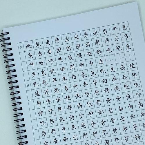 （定制字帖）南宫体 6500常用字 硬笔钢笔字帖 - 图2