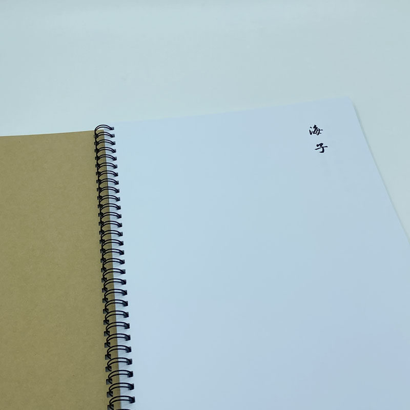 海子诗选 横线格临写 硬笔钢笔字帖楷书行书行楷隶书