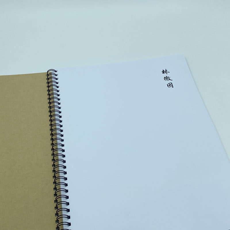 (定制字帖)林徽因诗选横线格临写硬笔钢笔字帖楷书行书行楷隶书