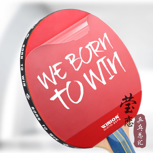 WINION莹恋乒乓球胶皮粘性保护膜乒乓球拍反胶套胶专用护胶膜保养 - 图2