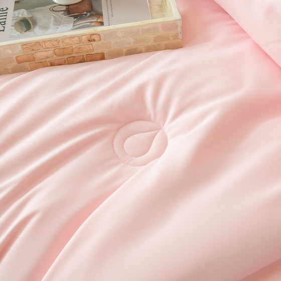 Hengyuanxiang soy fiber quilt hyaluronic acid skin-friendly quilt winter quilt thickened warm winter single quilt core