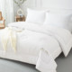 Hengyuanxiang Xinjiang cotton quilt, winter quilt, thickened and warm, spring and autumn quilt, four-season dormitory single quilt core