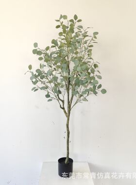 常青仿真植物装饰假绿植盆栽摆件金钱树霜色尤加利叶现货现货速发