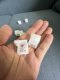 Printed aluminum frame positioning plastic rubber plug head