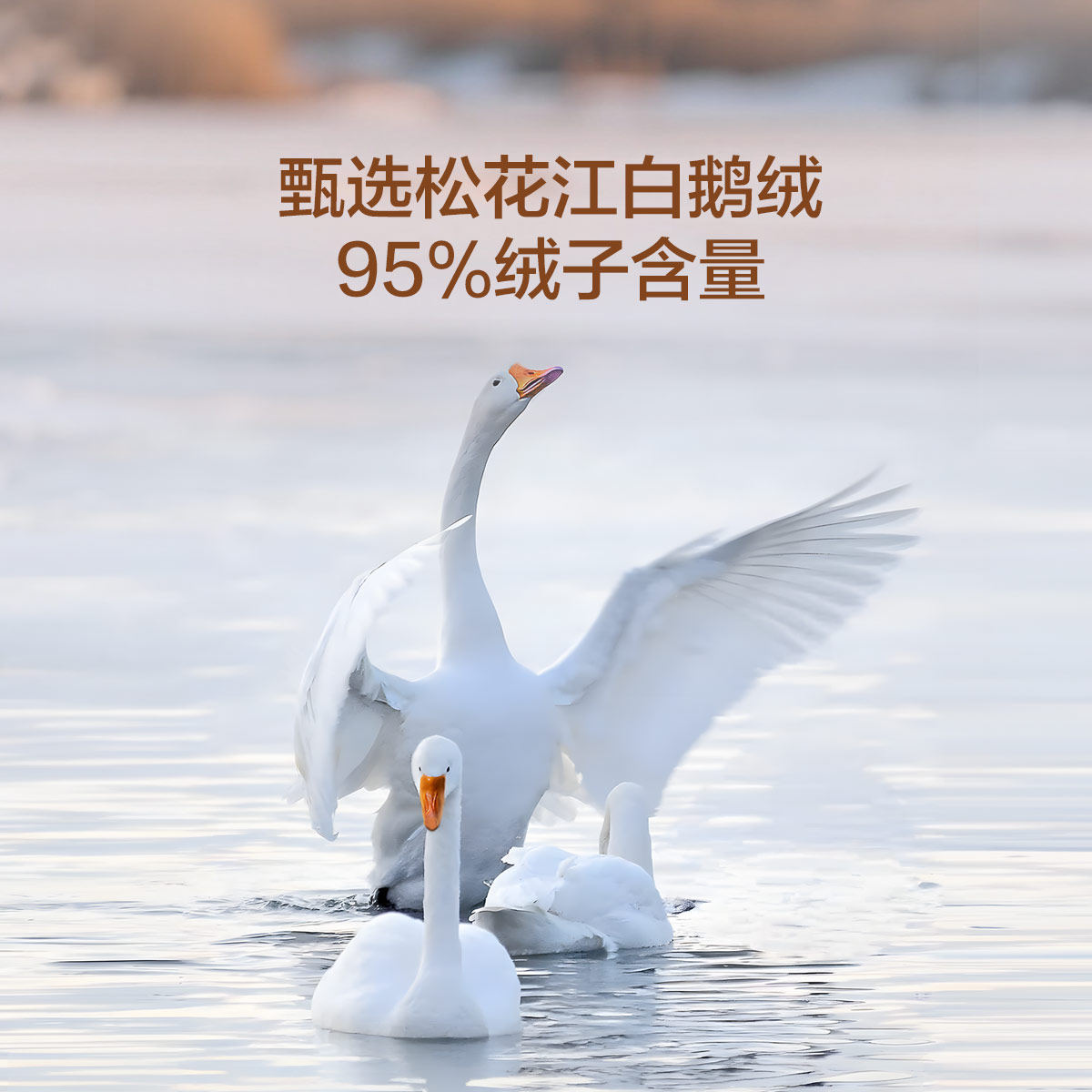 水星家纺羽绒被95白鹅绒加厚保暖冬被抗菌被子四季被儿童新年礼物,淘宝优惠券,粉丝福利购,淘宝优惠卷