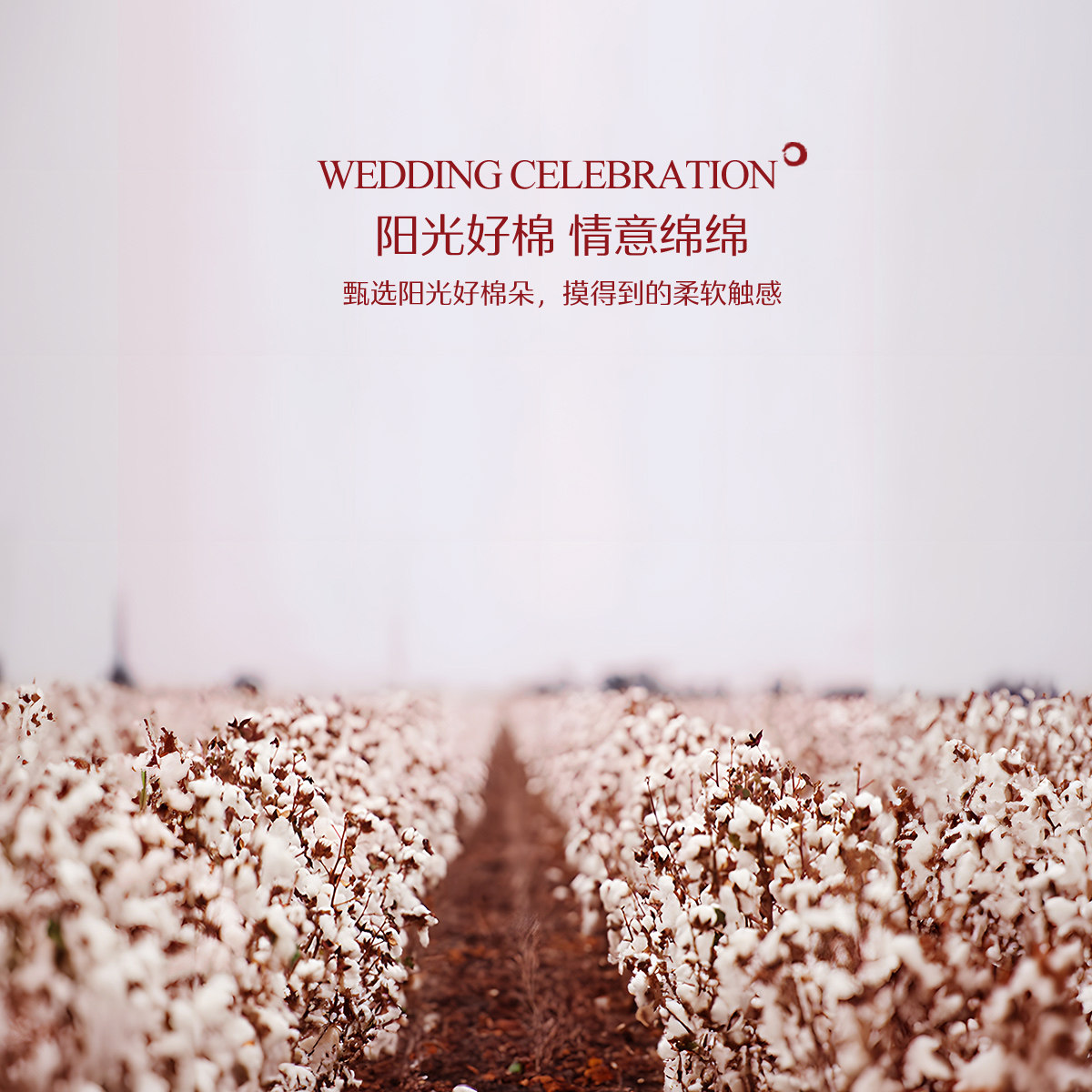 水星家纺婚庆六件套全棉刺绣结婚喜庆多件套套件红色欧式婚嫁床品,淘宝优惠券,粉丝福利购,淘宝优惠卷