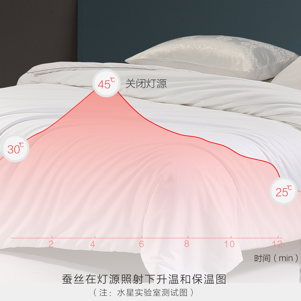 水星家纺四季通用桑蚕丝被春秋被薄被子单双人纯棉丝棉被子冬被芯 - 图1