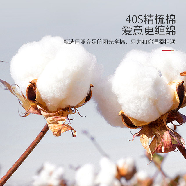 Mercury Home Textile Cotton Wedding Six-Piece Wedding Kit