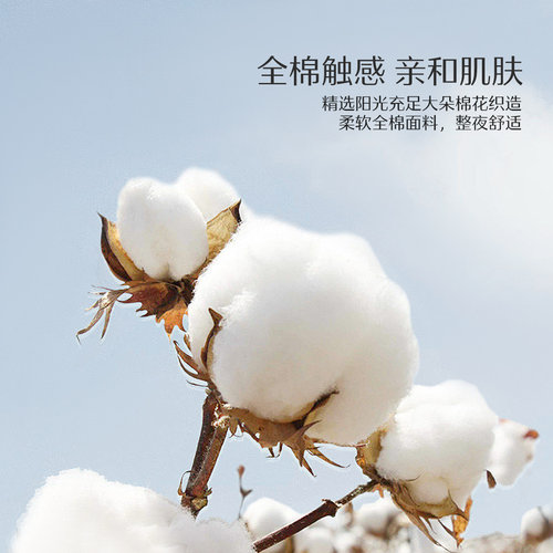 水星家纺可水洗枕头枕芯全棉抗菌防螨单人呵护颈椎软枕枕头芯低枕 - 图2