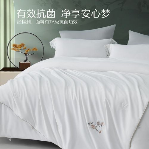 水星家纺蚕丝被春秋被100%桑蚕丝被子二合一子母被芯冬被床上用品 - 图2