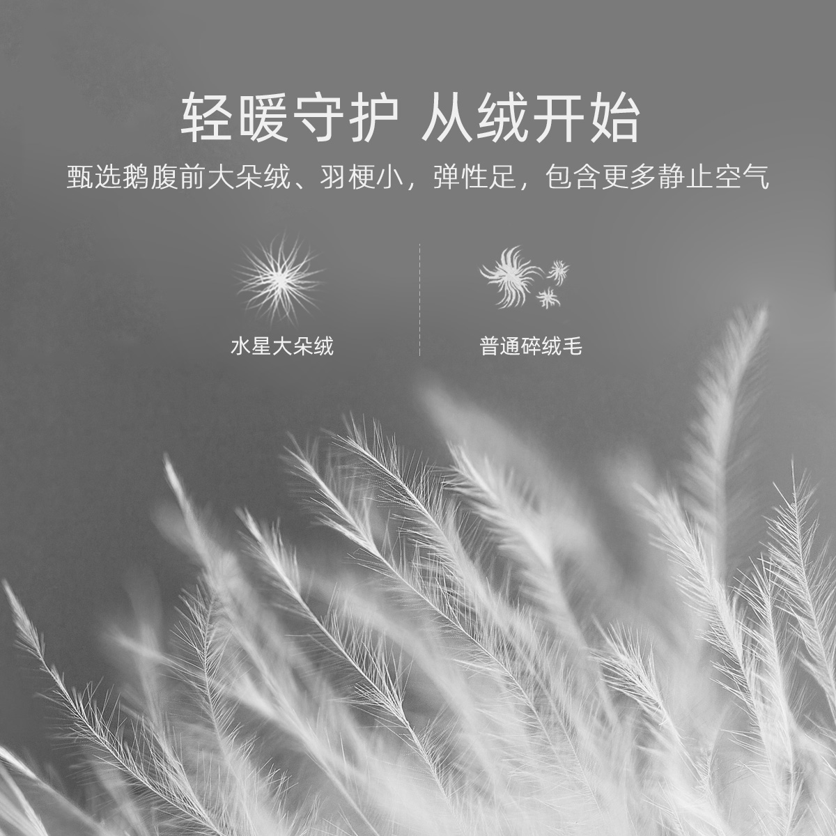 水星家纺抗菌匈牙利白鹅绒冬被羽绒被芯全棉冬季加厚保暖鹅绒被子