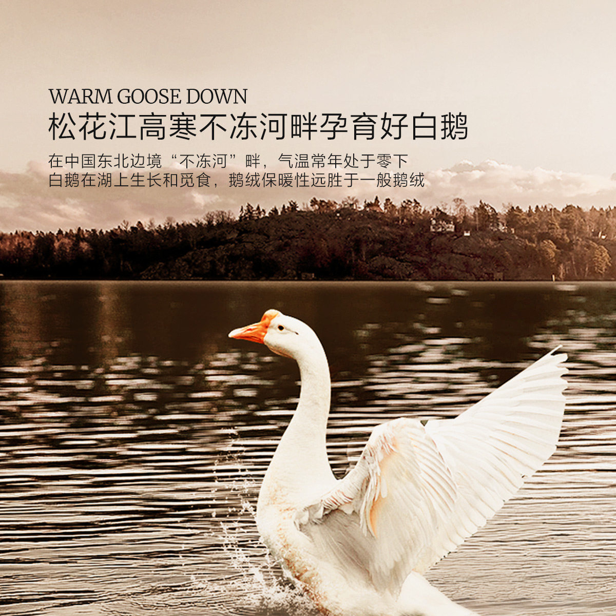 水星家纺羽绒被保暖被子95白鹅绒抑菌冬被高端被芯春秋被年货送礼,淘宝优惠券,粉丝福利购,淘宝优惠卷