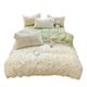 Pure Cotton Four-Piece Set of Cotton 2024 New Bedding