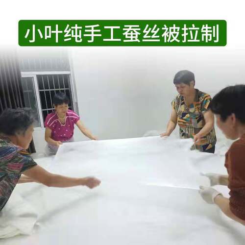 桐乡100%蚕丝被春秋被子母被冬被柞蚕丝裸胎机制双宫桑蚕丝原料 - 图2
