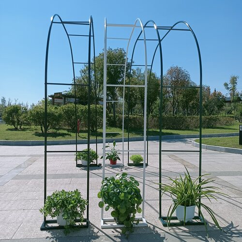 2025新款爬藤植物月季花架拱门阳台户外花园庭院葡萄绿萝蔷薇花架 - 图2