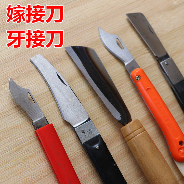 果树嫁接刀 苗木芽接刀子DIY花卉苗木嫁接果树剪园林绿植园艺工具,淘宝优惠券,粉丝福利购,淘宝优惠卷