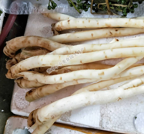 云南特产野菜新鲜蔬菜茴香根茴香菜 煲汤煮汤原料食材 1斤 - 图0