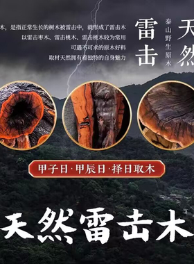 道家天然雷击枣木手串龙虎山直发