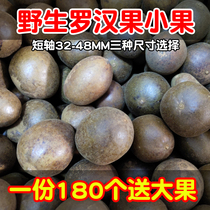 Guangxi Guilin Yongfu Special production wild grosvenori Bulk 180 Buy Just send 2 big fruit supervalues