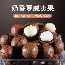 New Goods Australia Cream Original Taste Hawaii Fruits 500g Canned Nuts Dried Fruits Snack Fried Stock Delivery Opener