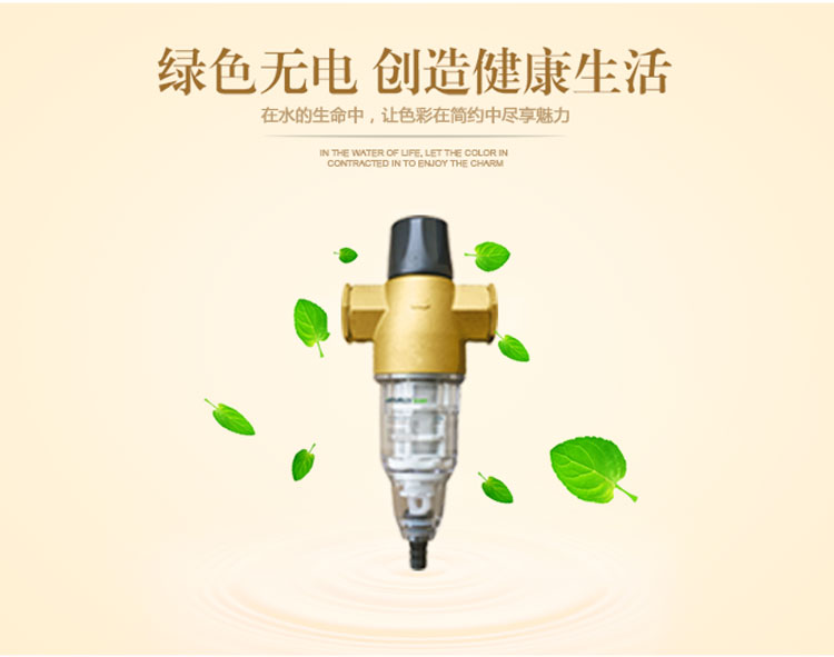 原装正品 德国HPURES菲浦斯净水器 前置过滤 HP-Q001 - 图1