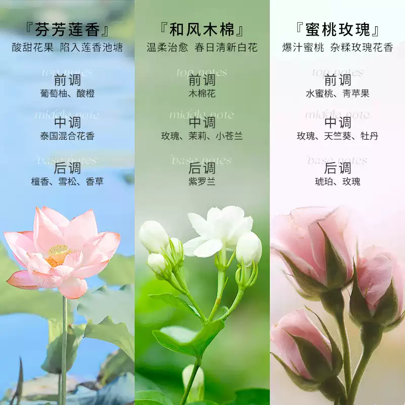 泰国giffarine芝芙莲内衣洗衣液内裤女士抑菌祛血渍清洗液500ml,淘宝优惠券,粉丝福利购,淘宝优惠卷