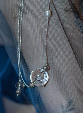 ZVT个性简约透明圆领ins个性设计女士项链女颈链锁骨链