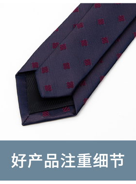 Jacketman蓝紫色时尚小方格领带
